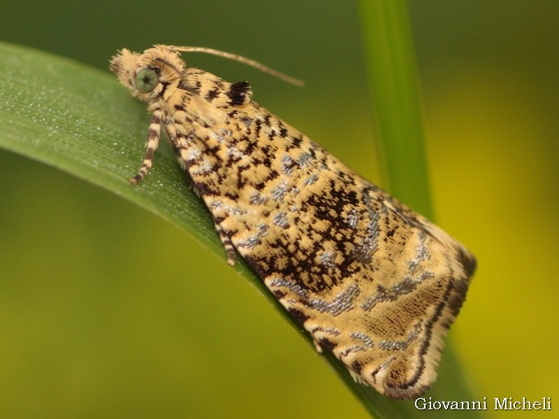 ciclabile Arluno-Boffalora MI 23/5/18